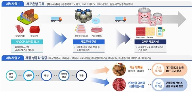 세포은행구축