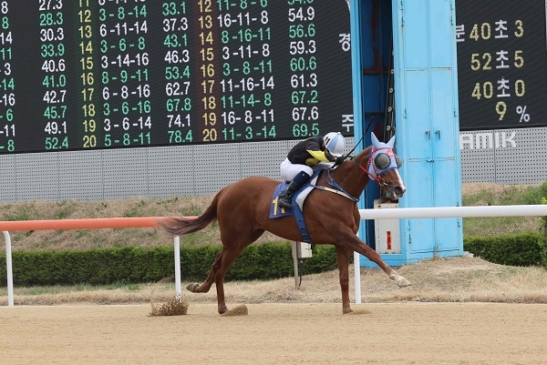 렛츠런파크 부산경남, '제25회 코리안오크스' 5일 개최