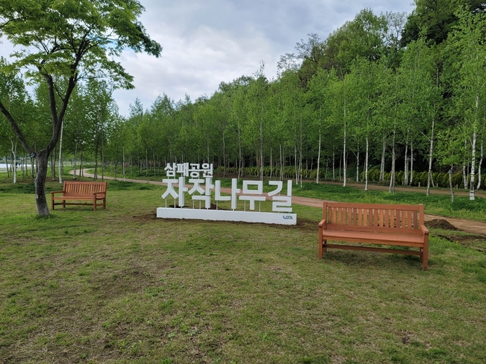 남양주시 삼패한강공원 맨발걷기 전용공간