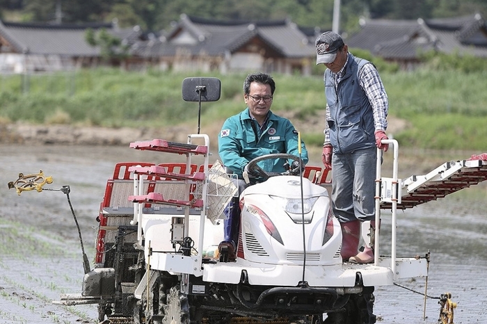 김홍규 강릉시장 모내기