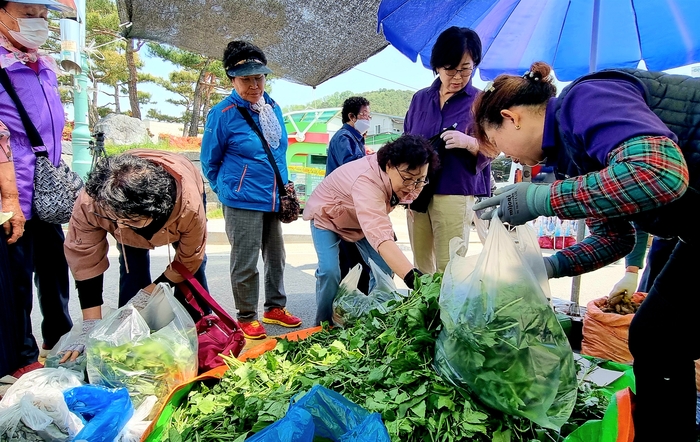 산나물 구매