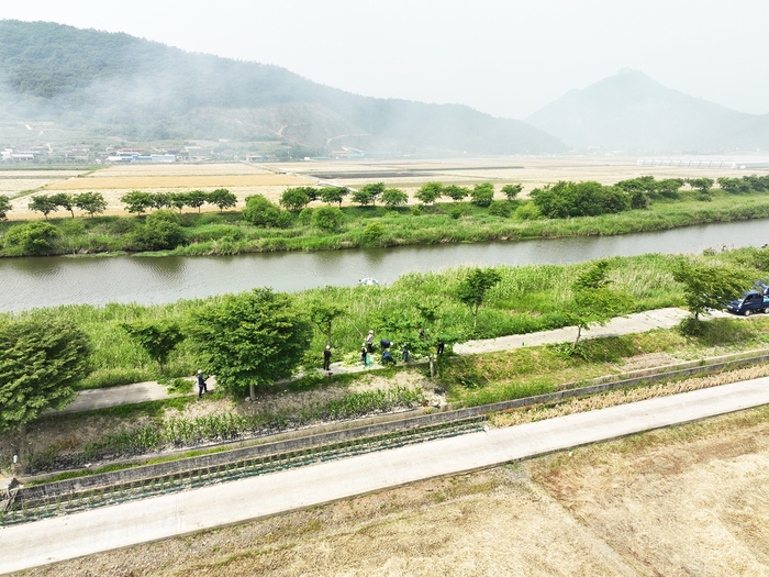 보성군