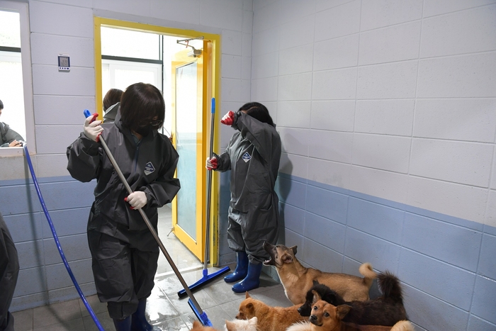 양평군의회 24일 양평군품유기동물보호센터 봉사활동 전개