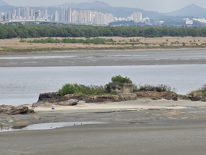 김포 독도 현장