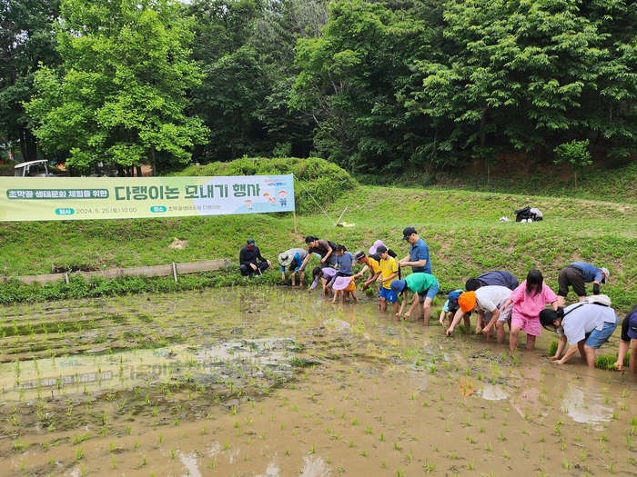 군포시 25일 초막골생태공원 다랭이논에서 손모내기 체험행사 진행