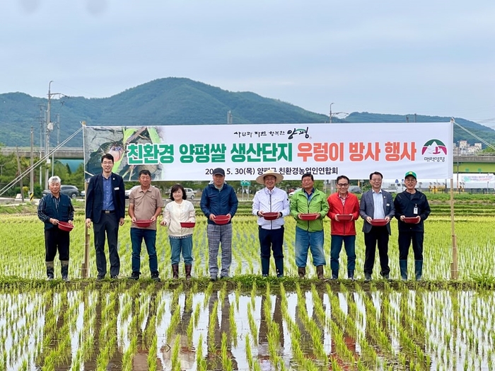 양평군 5월30일 물맑은양평쌀 생산단지 왕우렁이 방사