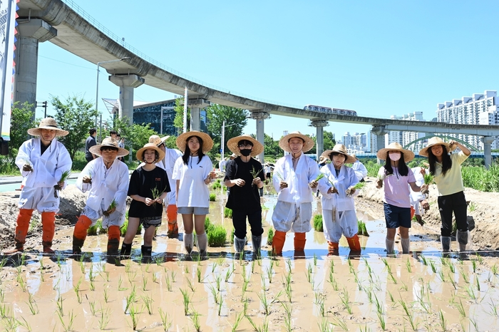 의정부시 3일 중랑천 모내기 체험행사 진행