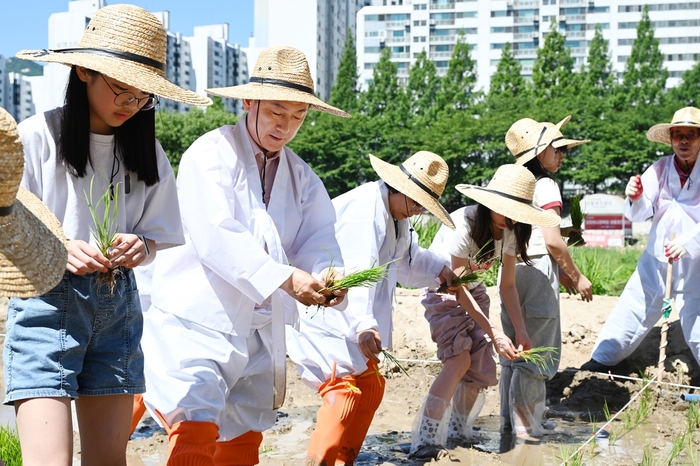 의정부시 3일 중랑천 모내기 체험행사 진행