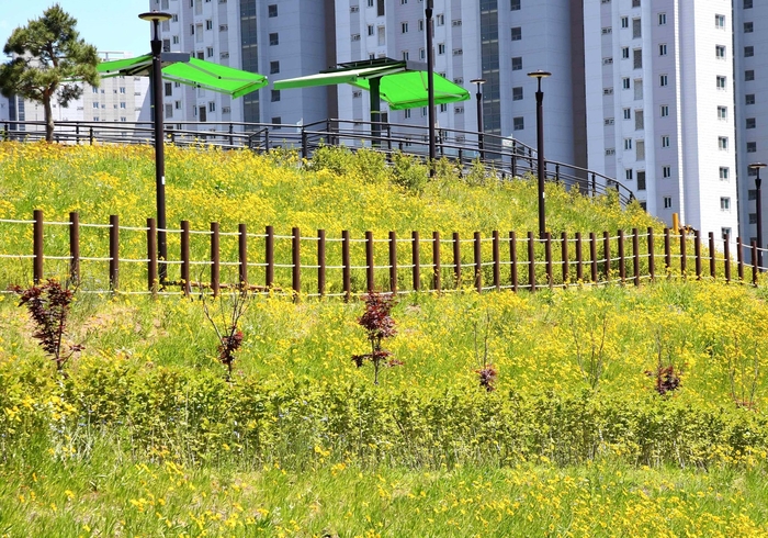 시흥시 산현동 따오기문화공원 제공