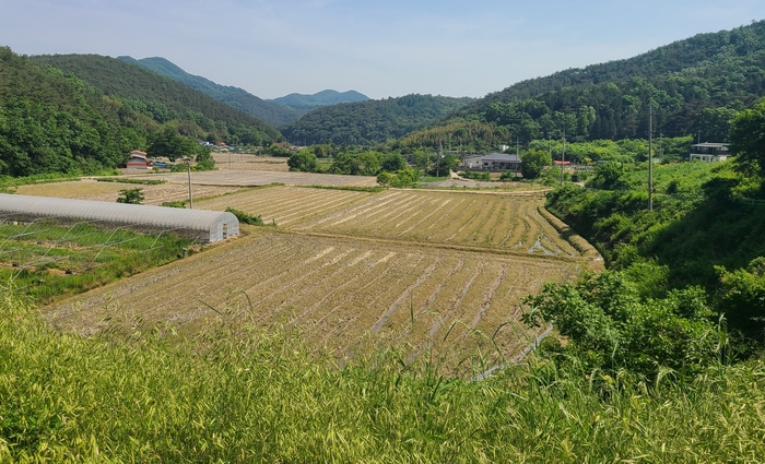 전남도