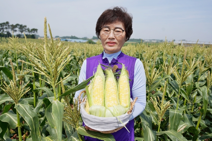 해남군