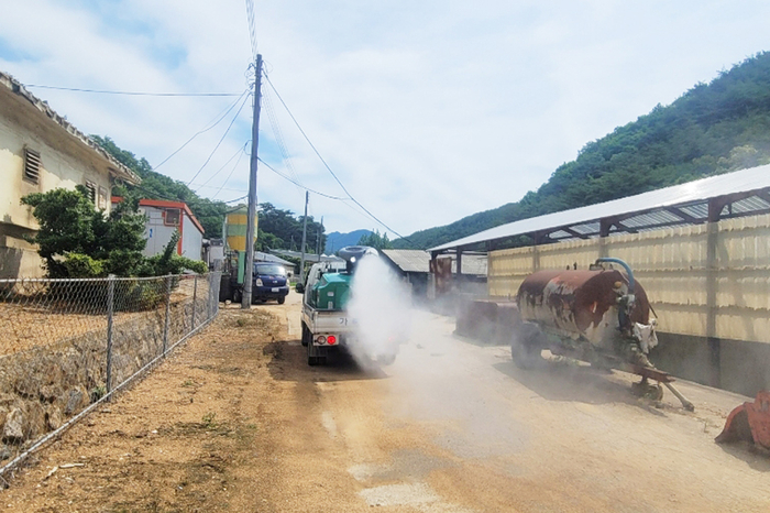 청송군, 아프리카돼지열병(ASF) 확산방지 철통방역 총력전