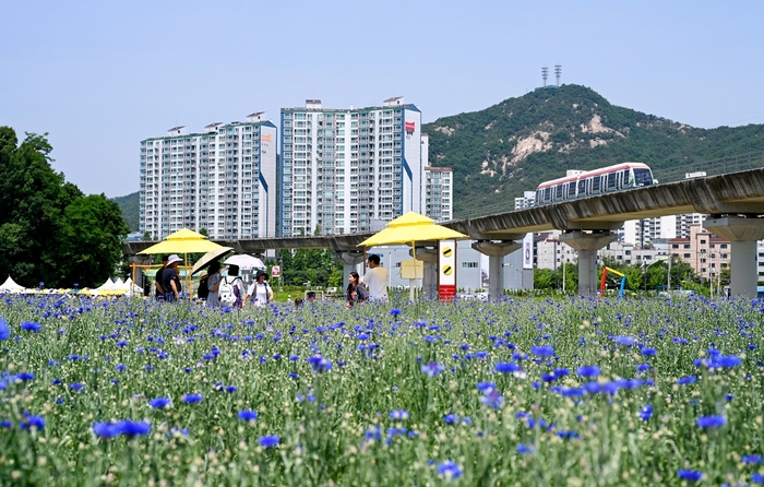 의정부시 신곡새빛정원 들꽃나들이 행사 전경