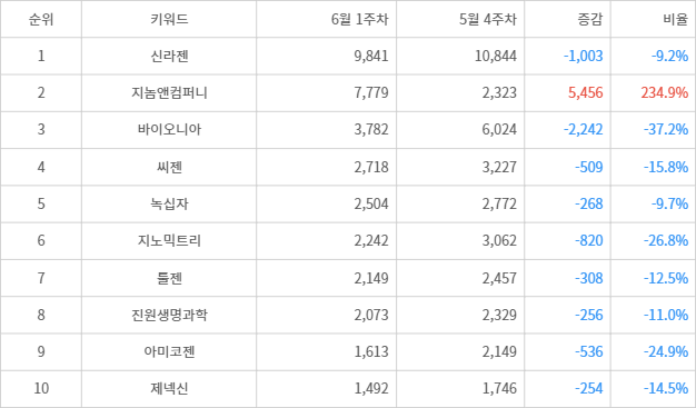 랭키파이 트렌드 지수 분석 데이터