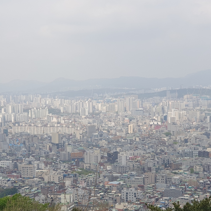 전국 부동산 시장에 바로미터로 꼽히는 서울 주택시장이 다시 꿈틀거리고 있다.