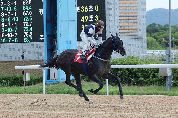 렛츠런파크 부산경남, '스피드영' 1600m 신기록... 오너스컵 들어올려