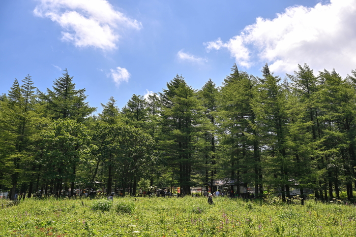 함백산 전경