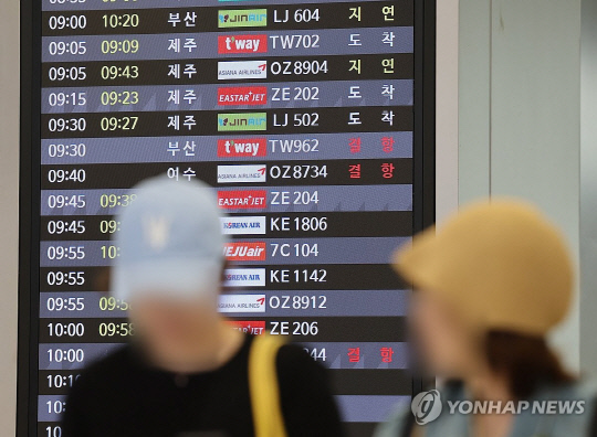 보험개발원은 국제선 항공기가 지연, 결항 시 정해진 보험금을 지급하는 '지수형 항공기 지연 보험'에 대한 참조순보험요율을 산출해 보험사에 제