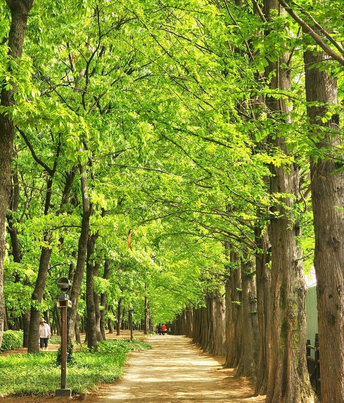 고양특례시 일산호수공원