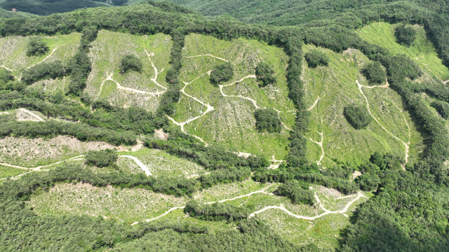 곡성군