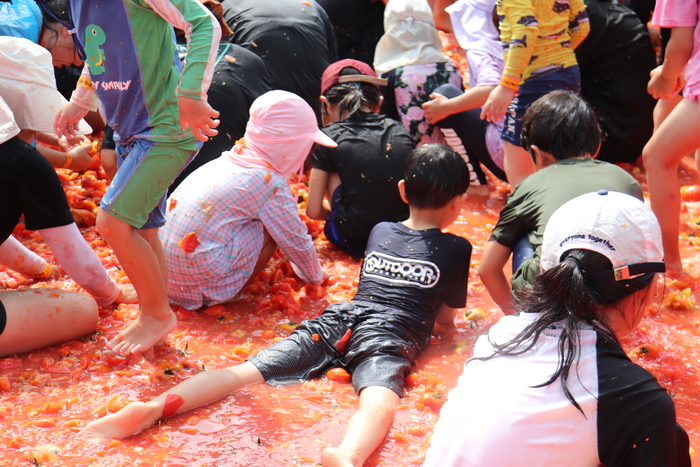 횡성둔내고랭지토마토축제