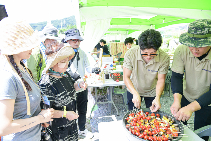 둔내 고랭지토마토축제