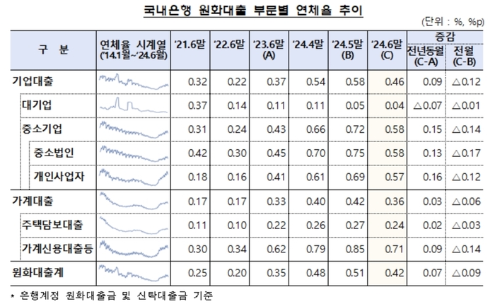 국내은행 원화대출 부문별 연체율 추이.