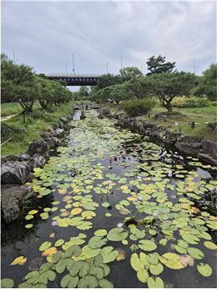 경기도지방정원 1호 양평 세미원