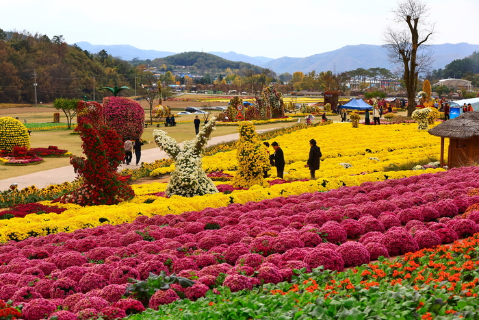 화순군