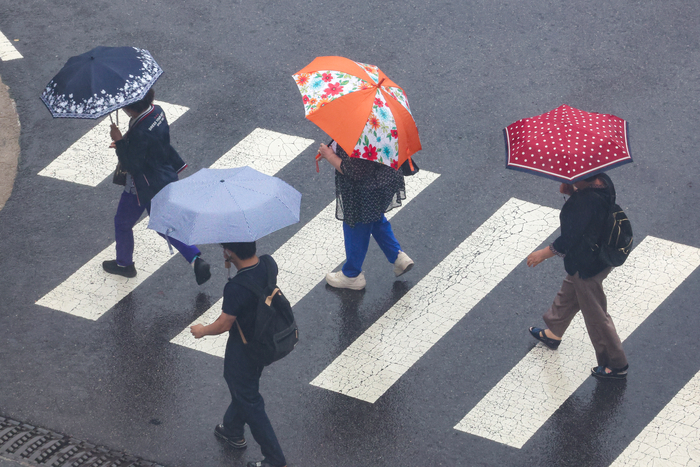 서울 시내 한 대형병원에서 내원객들이 우산을 쓰고 이동하고 있다.연합뉴스