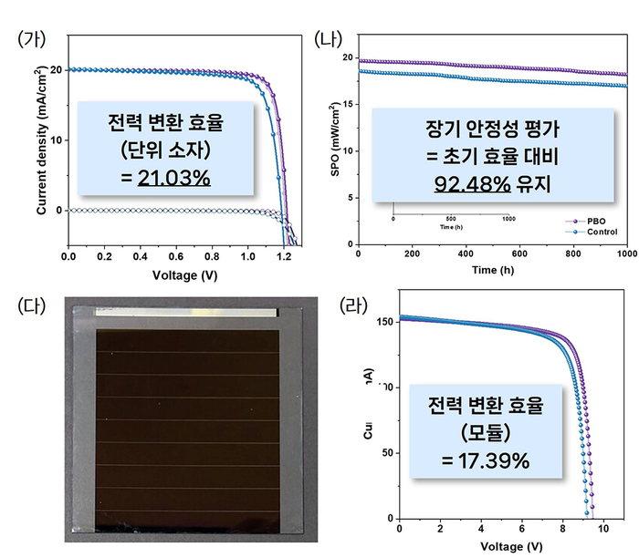 고려대