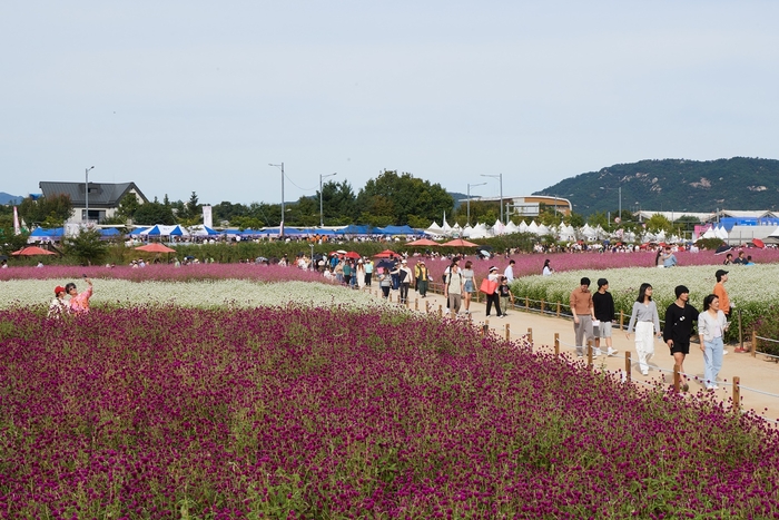 2023양주천만송이천일홍축제 현장