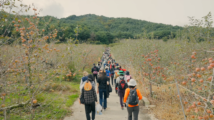 국립백두대간수목원에서 가을 맞이 걷기 행사 잇달아 개최