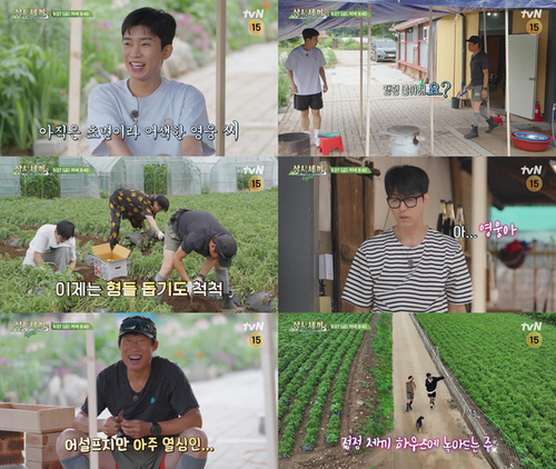 임영웅 삼시세끼