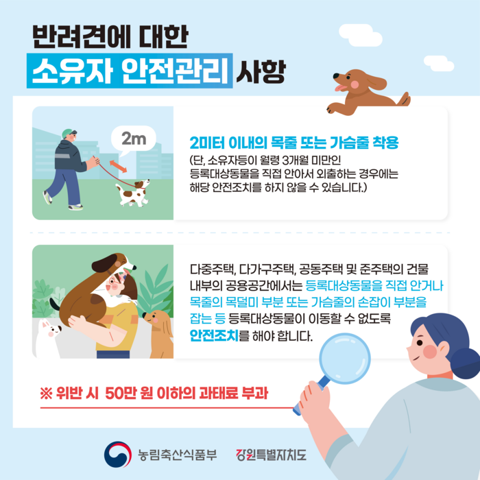 반려견 소유자 안전관리 사항 홍보물