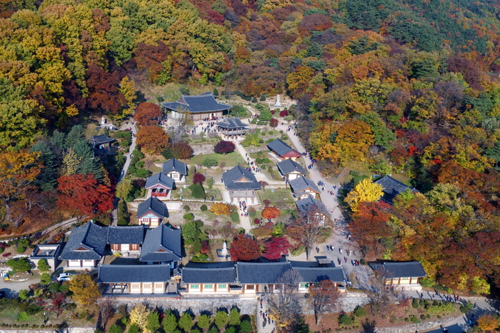 영주, 가을의 단풍과 문화가 어우러진 여행지