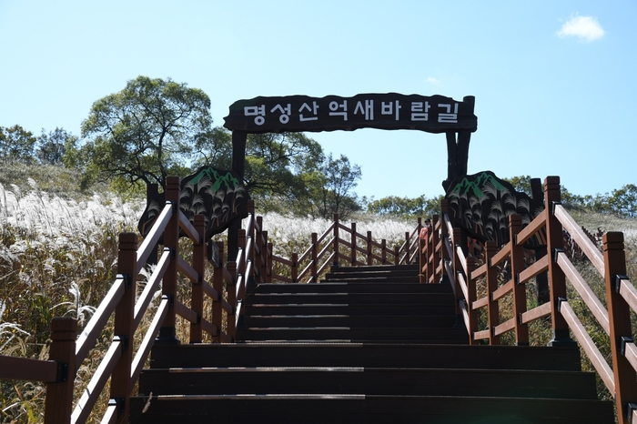 포천 산정호수 명성산 억새꽃 군락지