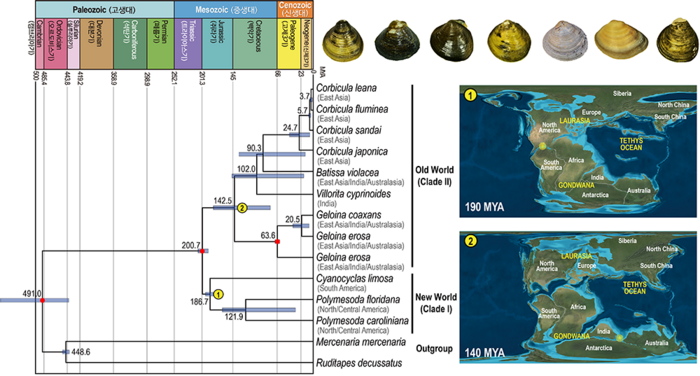 판게아 대륙 이동과 이매패류의 담수 생태계로 서식지 이동