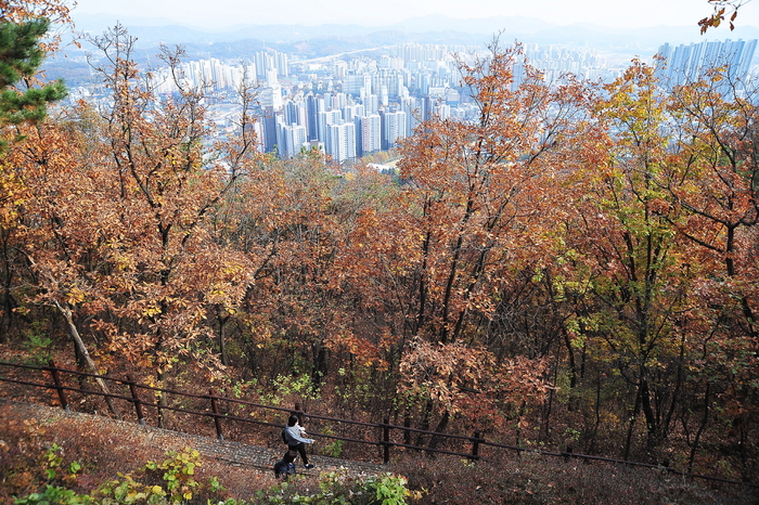 시흥시 소래산