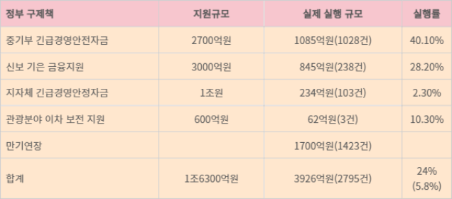 티메프 사태 관련 정부 지원 규모 및 실제 실행 규모