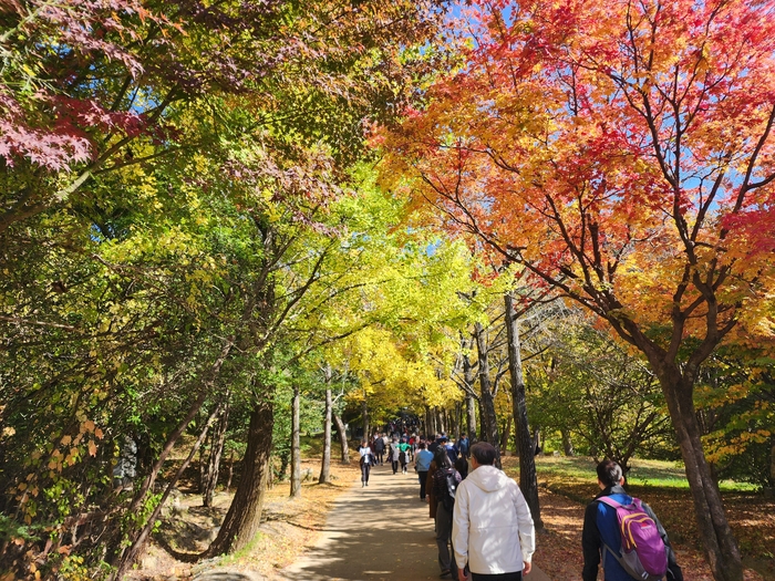 소백산국립공원 부석사 가을