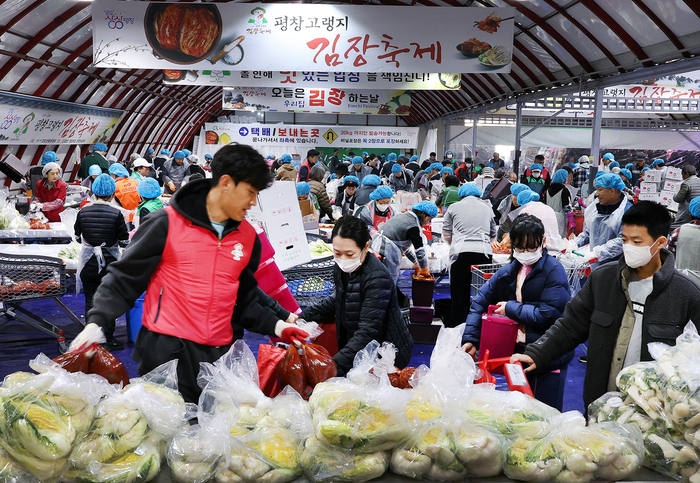 제7회 평창 고랭지 김장 축제