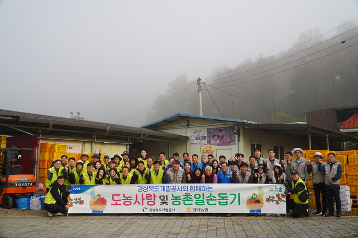 경상북도개발공사·경북농협, 사과 수확 봉사로 농촌에 온기 전달