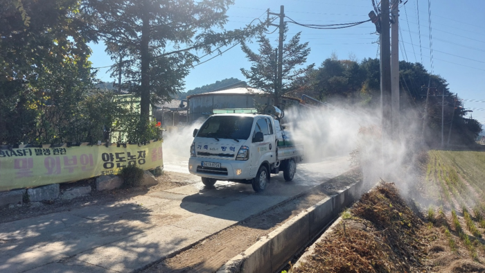 홍천군 아프리카돼지열병 확산 방지 총력