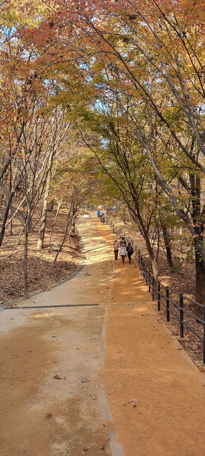 군포 수리산산림욕장 황톳길