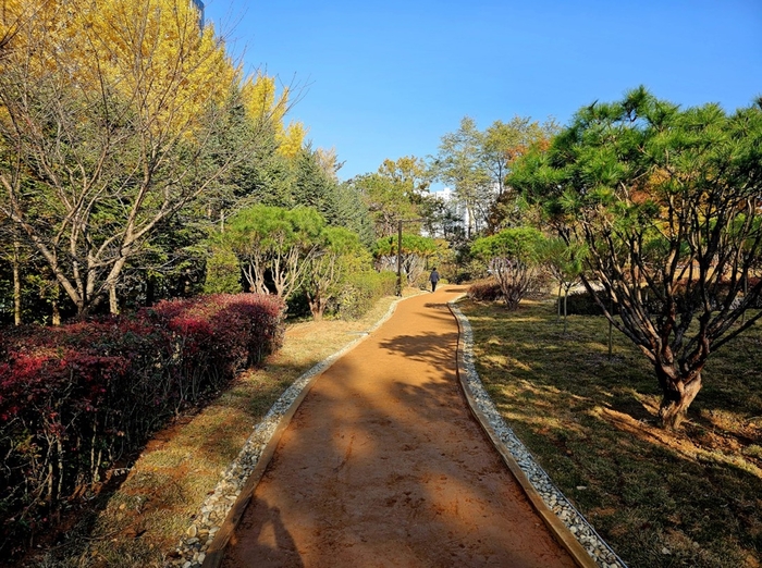 고양특례시 탄현공원 자연 흙길 및 산책로