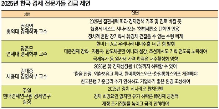 2025년 한국경제 전문가들 긴급제언.