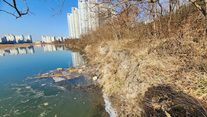 환경활동가 최종인이 촬영한 안산갈대습지 내 제방