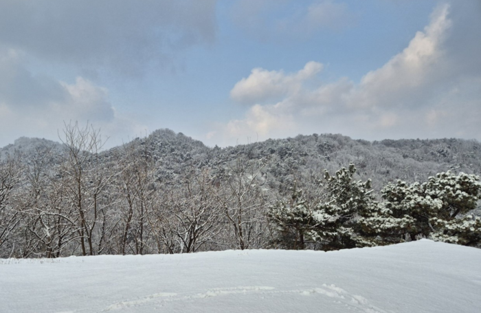 눈 덮인 겨울산