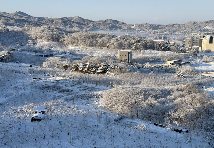 지난 8일 오전 전주시 완산구 효자동 일대가 눈으로 덮여 있다. 연합뉴스